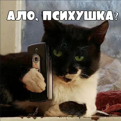 Sticker GeCfGhSYGihFkI_by_stickers_stealer_bot - 1