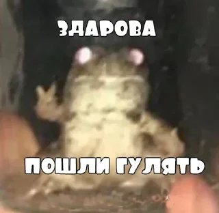 Sticker Стикеры👉 @stikeru7777 - 10