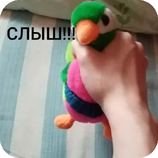 Стикер ГеНаДиЙ - 11