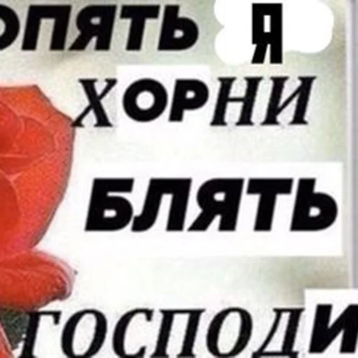 Sticker GeNsHiNmoraInFaRkT - 1