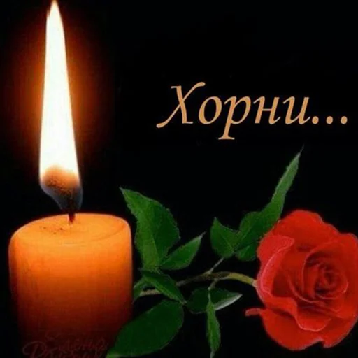 Стикер GeNsHiNmoraInFaRkT - 1