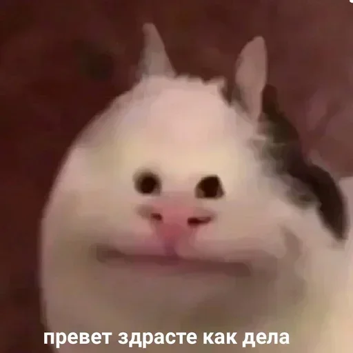 Больше стикеров 👉🏻 @stickertg4 - 