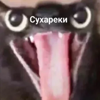 Sticker Больше стикеров 👉🏻 @stickertg4 - 5