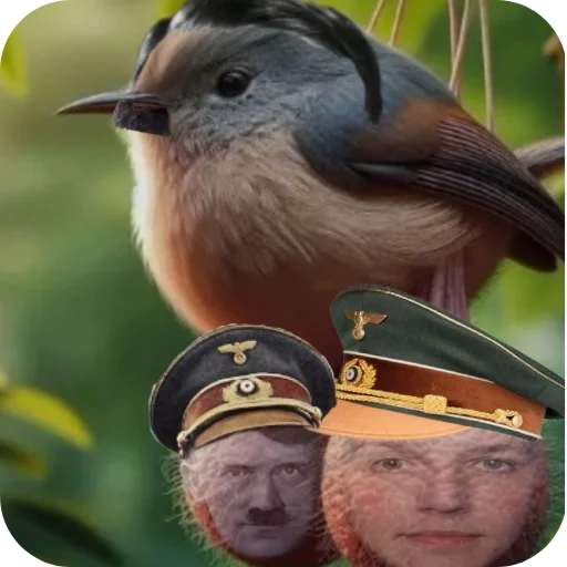 птица животное клюв