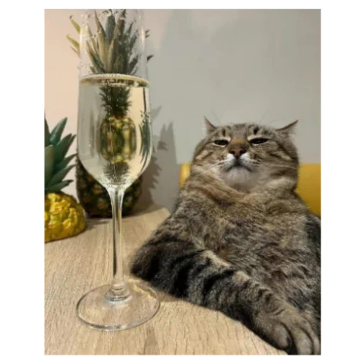 Sticker Gej_klub_Romashka6 - 1