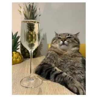 Sticker Гей клуб Ромашка - 11