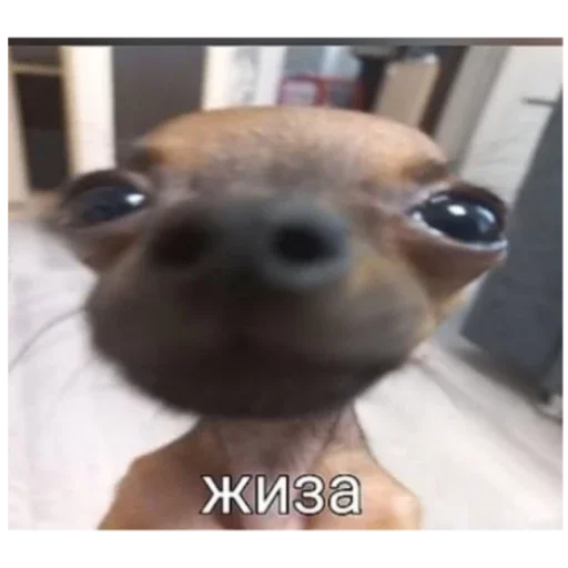 Стикер Гейша - 11