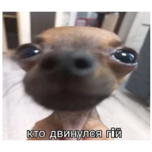 Стикер Гейша - 10