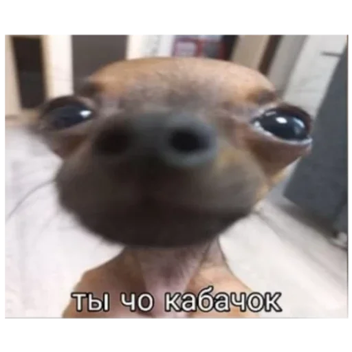 Стикер Гейша - 9