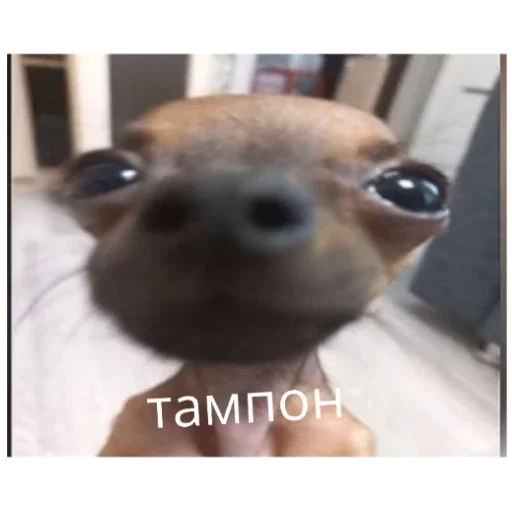 Стикер Гейша - 8