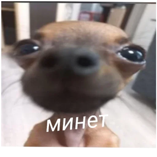 Стикер Гейша - 7