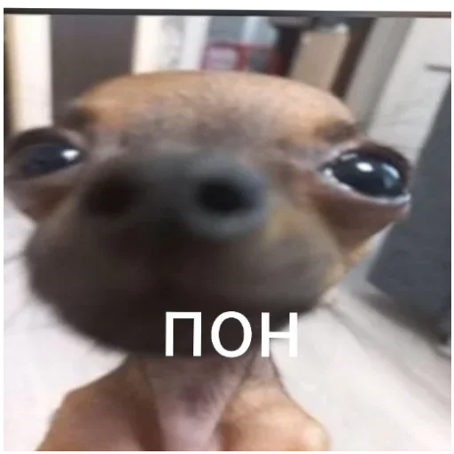 Стикер Гейша - 6