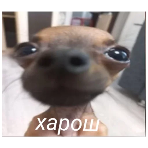 Стикер Гейша - 5