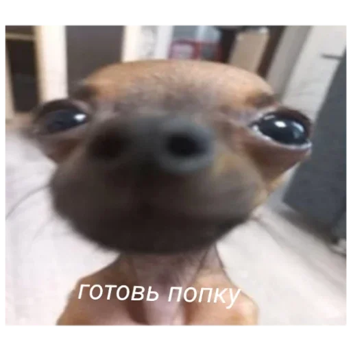 Стикер Гейша - 4