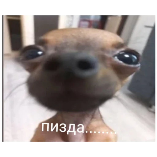 Стикер Гейша - 3