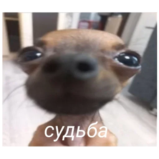 Стикер Гейша - 2