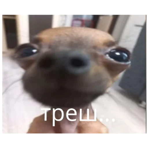 Стикер Гейша - 1