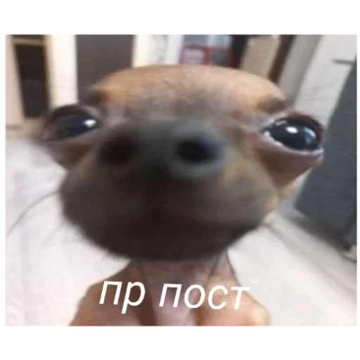 Стикер Гейша - 0