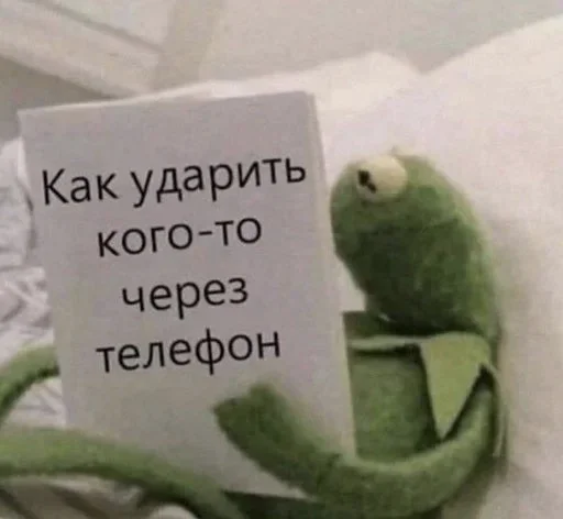 СМС попугай комнатный