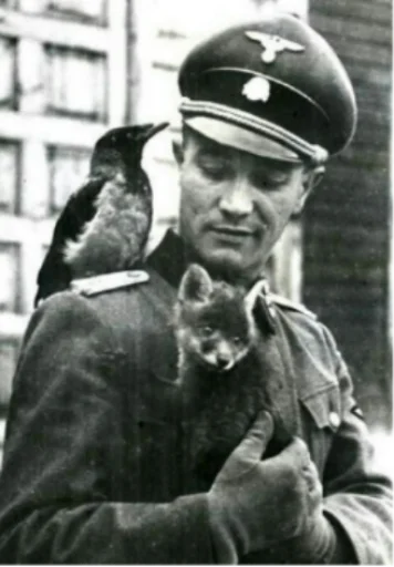 Стикер Трошкі сміщно - 9