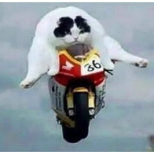 outdoor tire vehicle