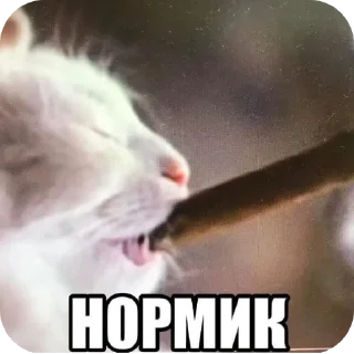 Sticker Гениальный пак от @XaTa_3aKoHa - 7