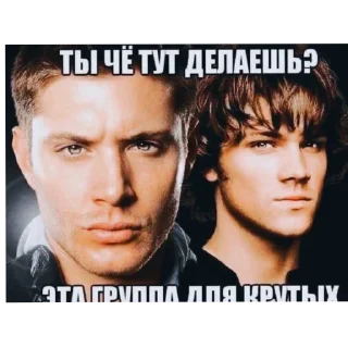 Sticker Гениальный пак от @XaTa_3aKoHa - 10