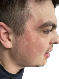 Sticker Gerbariy - 4