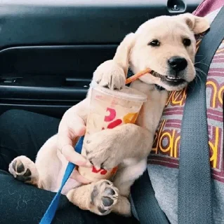 Стикер Get your own bitch @xvieravelyn @hinatastick - 9