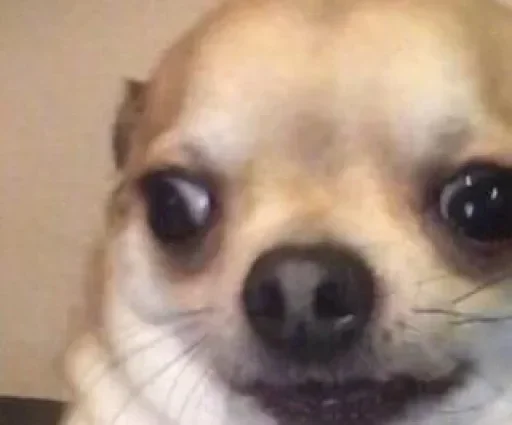 Стикер Get your own bitch @xvieravelyn @hinatastick - 0