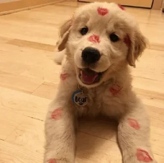 Стикер Get your own bitch @xvieravelyn @hinatastick - 4