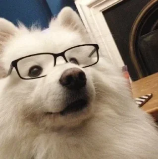 Стикер Get your own bitch @xvieravelyn @hinatastick - 3