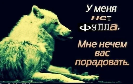 Стикер Fool - 0