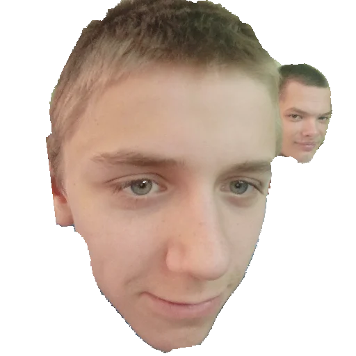 human face eyebrow forehead