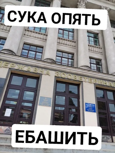 text building window