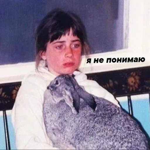 Стикер Гав by @fStikBot - 3