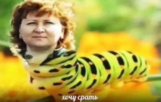 person invertebrate caterpillar