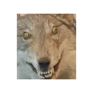 Стикер Ggggg - 4