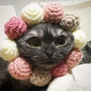 Sticker Goma @UgoleshekGoma - 4