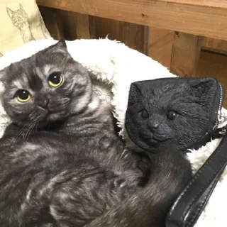 Sticker Goma @UgoleshekGoma - 6