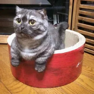 Sticker Goma @UgoleshekGoma - 3