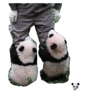 Стикер 1 by @stqrapp - 2