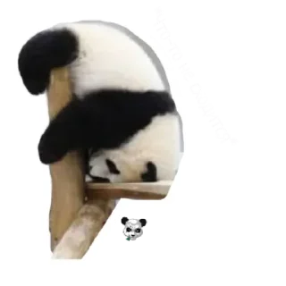 Стикер 1 by @stqrapp - 1