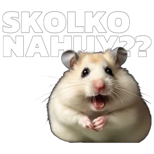 Sticker GhXWaRWW_by_stickers_stealer_bot - 1