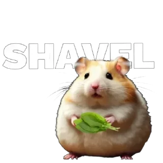 Sticker @stiki_tg_nah_canal - 11