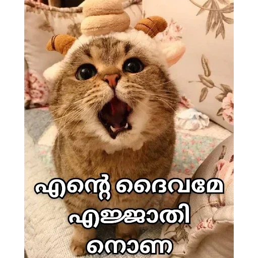 Sticker GhgnVuNdQFqiONJpR_by_stickers_stealer_bot - 1