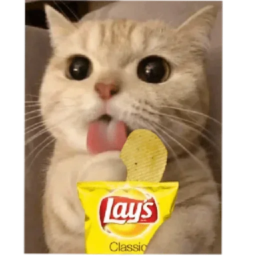 Больше стикеров 👉🏻 @stickertg4 - 