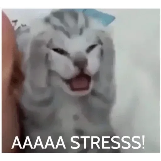 Sticker GhgnVuNdQFqiONJpR_by_stickers_stealer_bot - 1