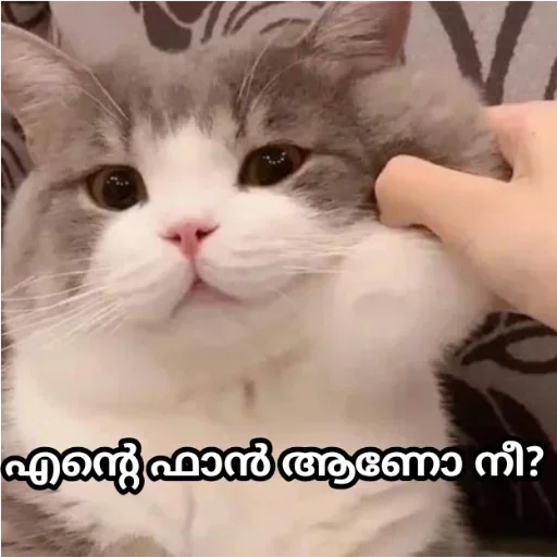 Sticker GhgnVuNdQFqiONJpR_by_stickers_stealer_bot - 1