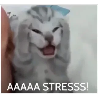 Sticker Больше стикеров 👉🏻 @stickertg4 - 7